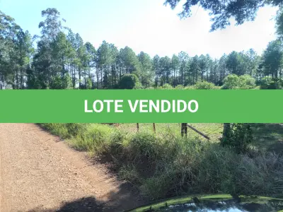 LOTE 001 - FRAÇÃO DE TERRAS DE 03 HECTARES