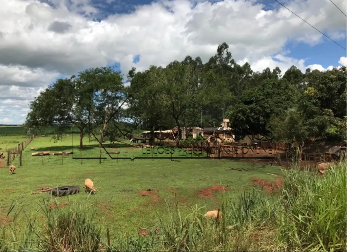 LOTE  - FRAÇÃO DE TERRAS DE 1ha49a