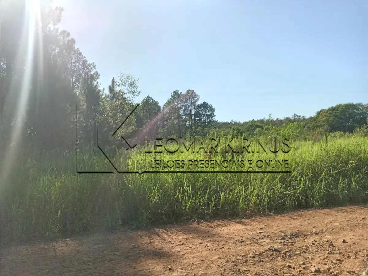 LOTE 001 - FRAÇÃO DE TERRAS DE 03 HECTARES