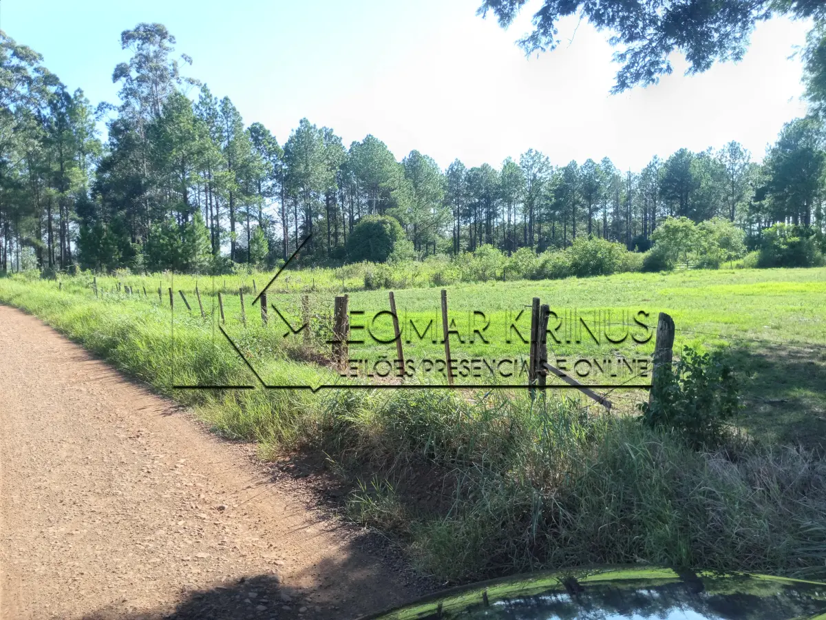 LOTE 001 - FRAÇÃO DE TERRAS DE 03 HECTARES
