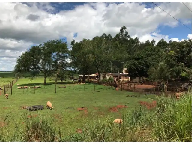 FRAÇÃO DE CAMPO E MATOS