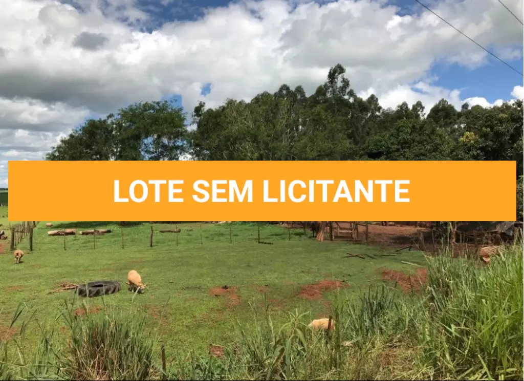 LOTE 