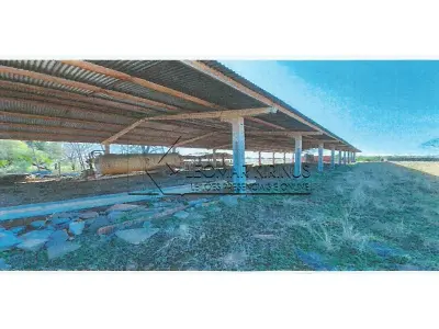 LOTE 001 - ÁREA DE TERRAS DE 05HA E INSTALAÇÕES DE FRIGORÍFICO