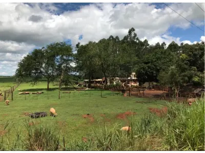 LOTE 001 - FRAÇÃO DE TERRAS DE 1ha49a