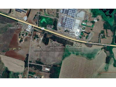 LOTE 001 - FRAÇÃO DE TERRAS DE 03 HECTARES