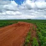 LOTE 002 - FRAÇÃO DE TERRAS COM 15HA06A27CA13MA