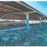 LOTE 001 - ÁREA DE TERRAS DE 05HA E INSTALAÇÕES DE FRIGORÍFICO
