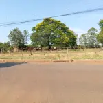 LOTE 001 - TERRENO COM ÁREA DE 3.499,78M²