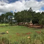 LOTE 001 - FRAÇÃO DE TERRAS DE 1ha49a