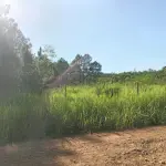 LOTE 001 - FRAÇÃO DE TERRAS DE 03 HECTARES