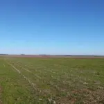 LOTE 001 - FRAÇÃO DE TERRAS COM 50HA02A65CA