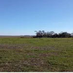 LOTE 001 - FRAÇÃO DE TERRAS COM 50HA02A65CA