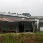 LOTE 001 - EM TERRENO DE 5.000M² COM BENFEITORIAS
