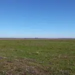 LOTE 001 - FRAÇÃO DE TERRAS COM 50HA02A65CA