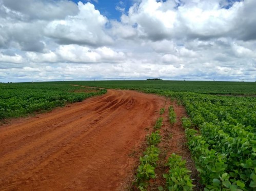 DUAS FRAÇÕES DE CAMPOS