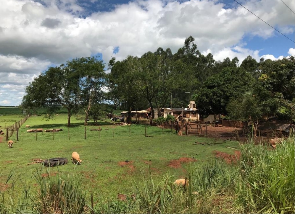 FRAÇÃO DE CAMPO E MATOS